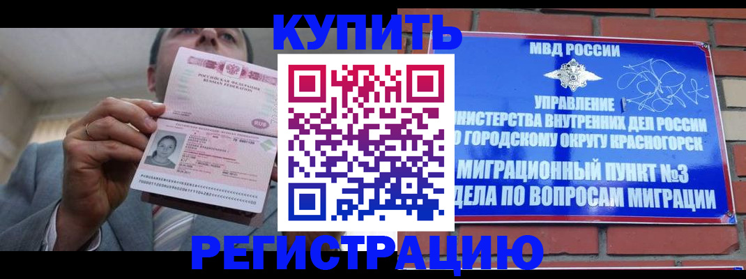 прописка в Курской области